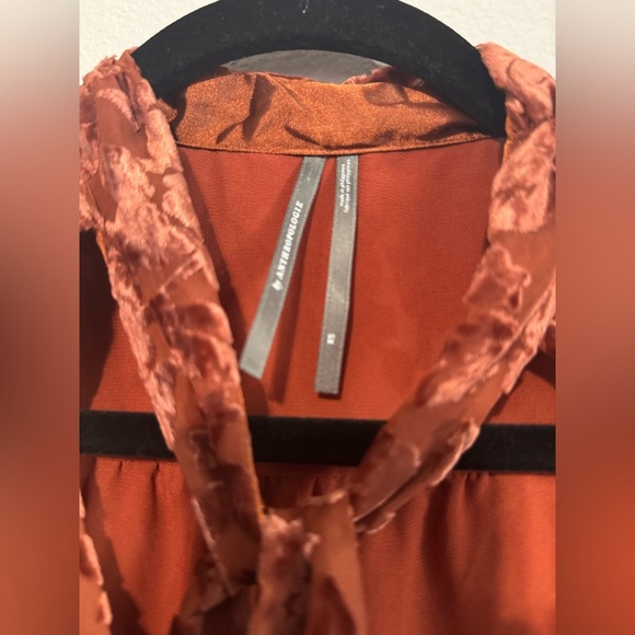 Anthropologie Velvet Tie Neck Blouse - Picture 7 of 9